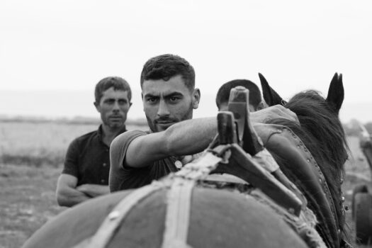 Jahr des Feuerpferdes