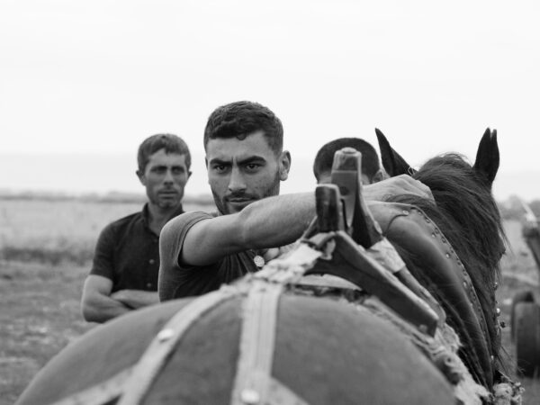 Jahr des Feuerpferdes